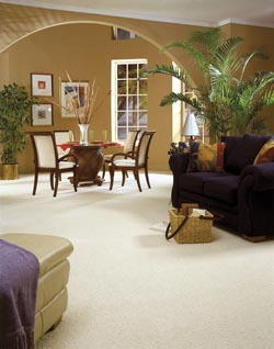 https://www.floortraderlafayette.com/root/clientImages/FT0025/carpet-flooring-3.jpg